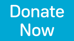 Donate Now Website